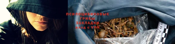 амф Алексин