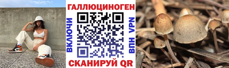 Псилоцибиновые грибы мухоморы  ОМГ ОМГ ссылки  Минусинск  магазин продажи  