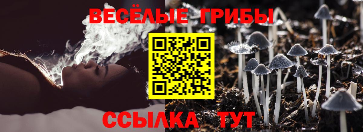 Галлюциногенные грибы Magic Shrooms  Псилоцибиновые грибы GOLDEN TEACHER  Минусинск  продажа наркотиков  Вход с VPN 